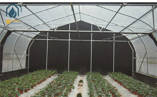 marijuana blackout greenhouse