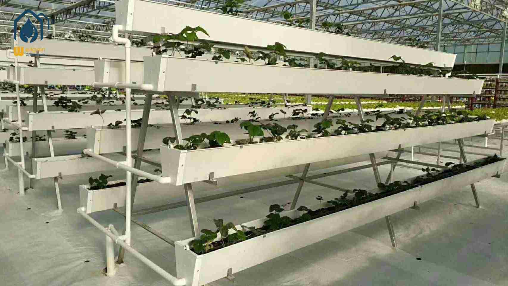 Plastic trough grow gutter system for greenhouse