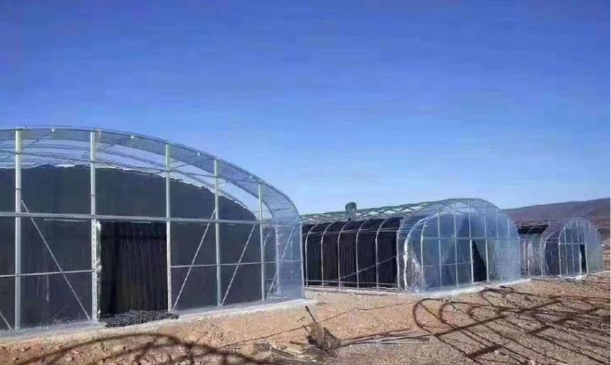 plastic greenhouse