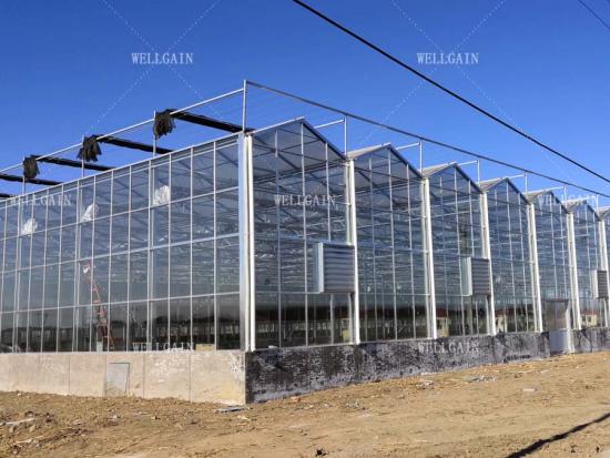 Aluminum greenhouse frames
