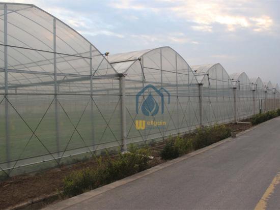 Commercial greenhouse structures