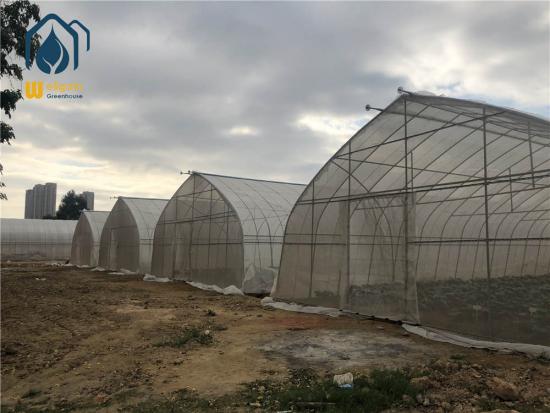 Tunnel Greenhouse For Sale