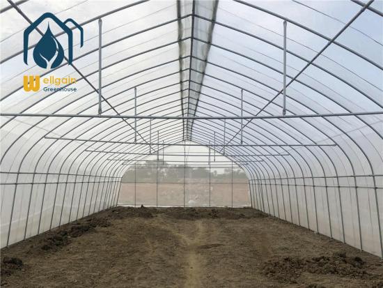 Reinforced Plastic Tunnel Greenhouse