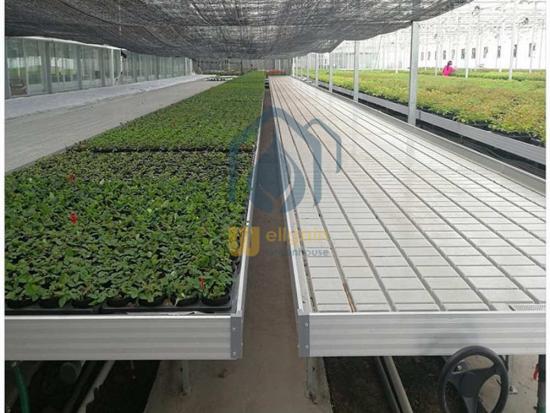 Rolling greenhouse tables