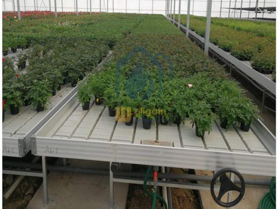 Greenhouse bench systems