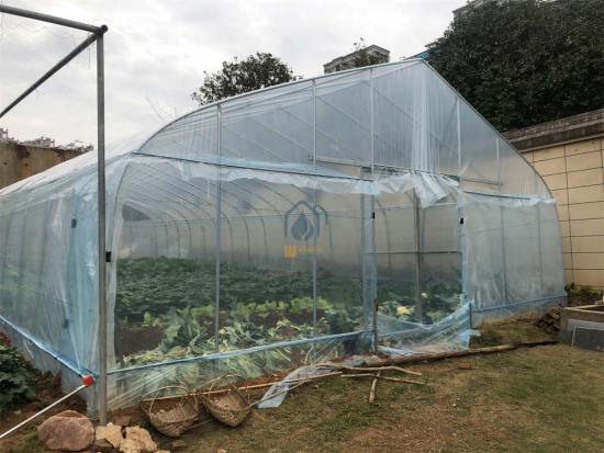 Low Cost Greenhouse