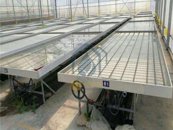Ebb and flow hydroponic system