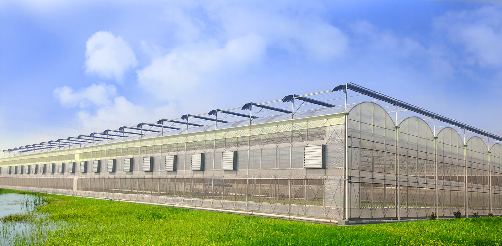 Modern growing solutions for greenhouse
